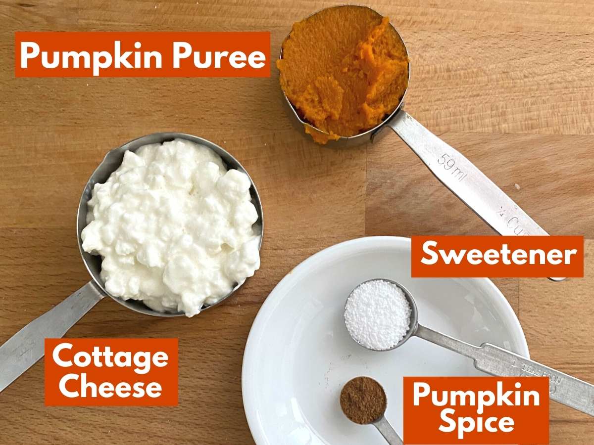 Labelled ingredients to make recipe: pumpkin puree, cottage cheese, sweetener, and pumpkin pie spice.