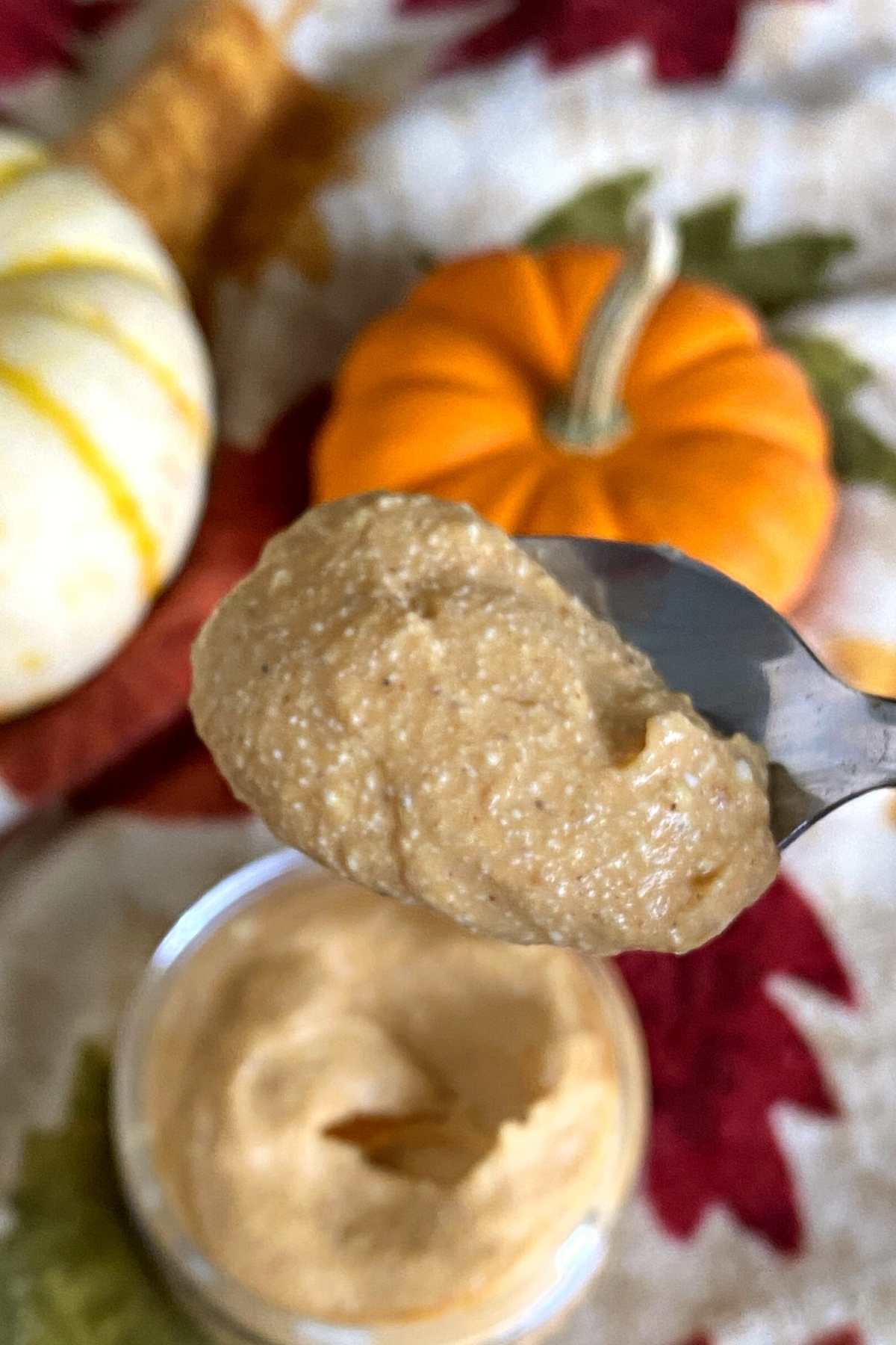 Spoonful pumpkin cottage cheese on a spoon to show the smooth texture.