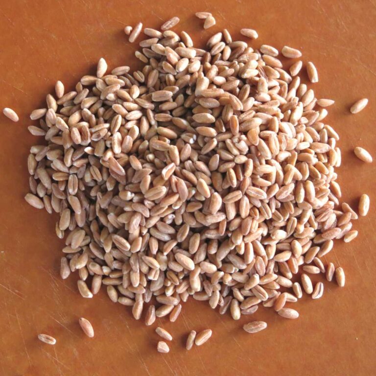 Easy Farro Stuffing or Pilaf The DinnerMom