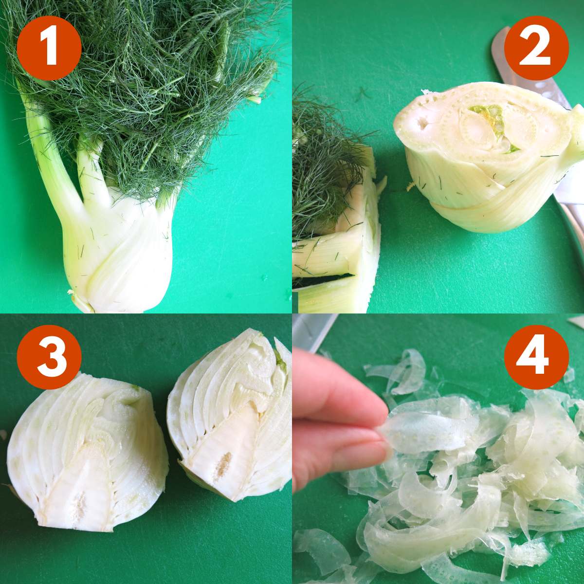 Collage of pictures to shave fennel. 1) Fennel with fronds. 2) Fennel with bulb cut off. 3) Fennel bulb cut in half. 4) Fingers holding paper thin slices of fennel cut with a mandolin.