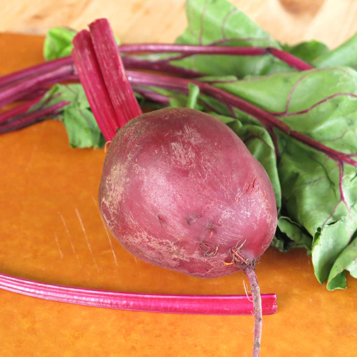 Red beet on a cutting board with the roots, stems and leaves.