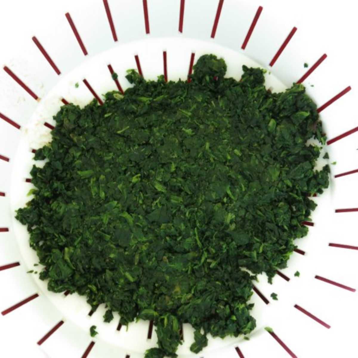 Defrosted chopped spinach in a strainer with excess liquid removed.