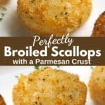 Two broiled scallops with a Parmesan crust with the name of the recipe in text in the center.