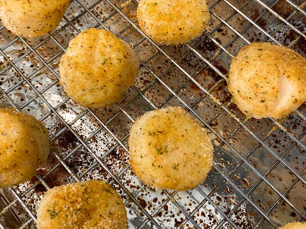 Broiled scallops with Parmesan breading on a cookie cooling rack that's on top of a baking pan.