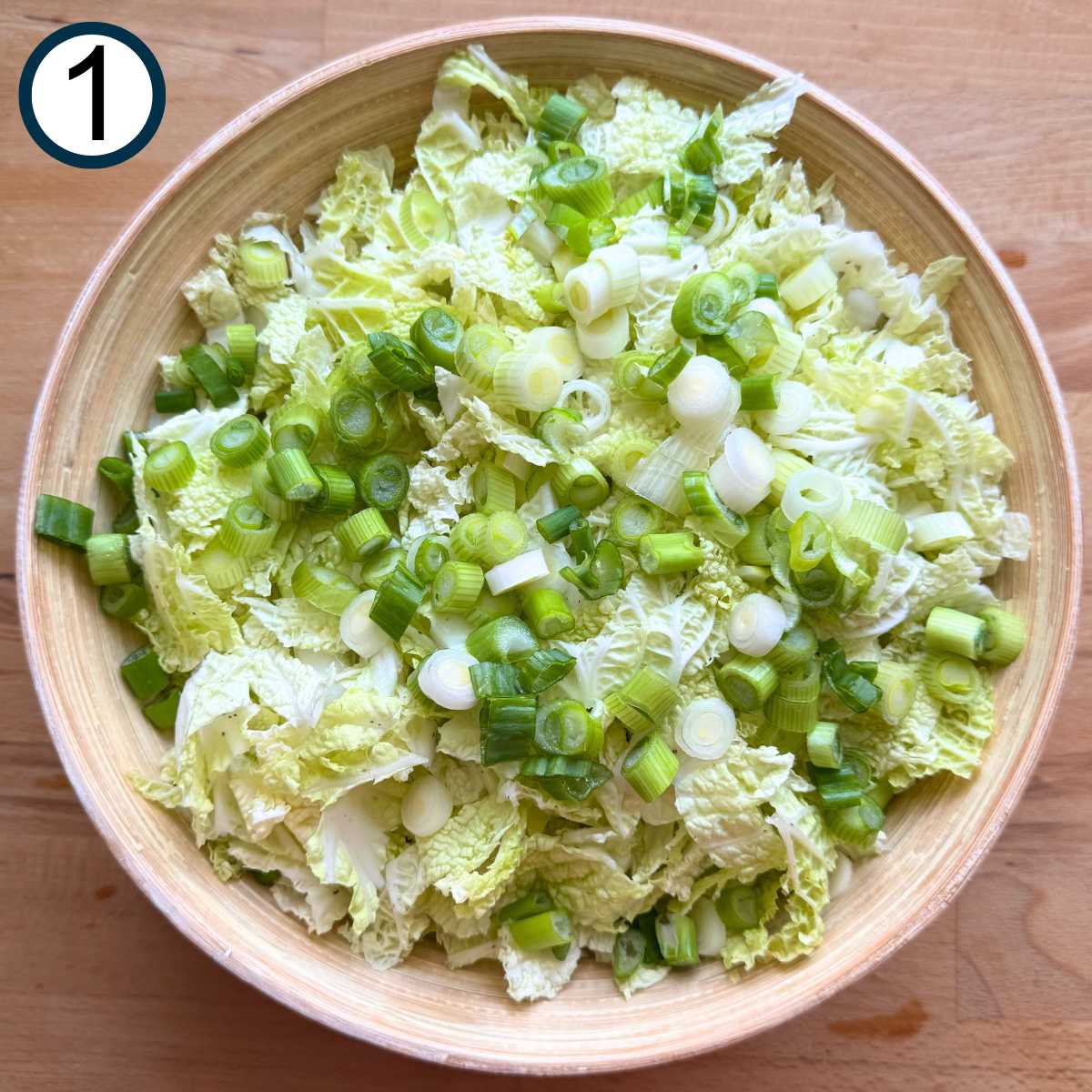 Thinly sliced Napa cabbage and sliced green onions in a bowl.