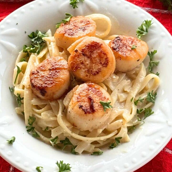 Five seared sea scallops over fettuccine alfredo garnished with parsley in a white bowl.