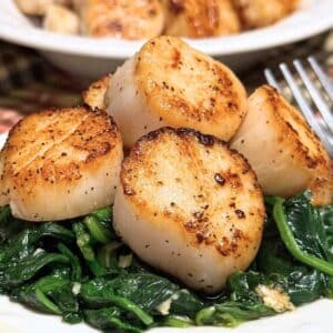 Five seared sea scallops on a bed of spinach wilted with olive oil and garlic with a bowl of more scallops behind it.