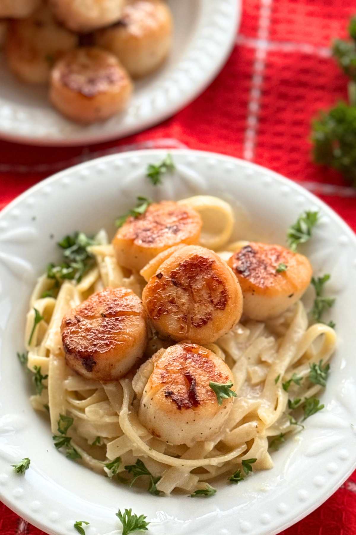 Bowl with creamy fettuccine alfredo topped with seared-scallops and parsley with a plate with more cooked scallops behind it.