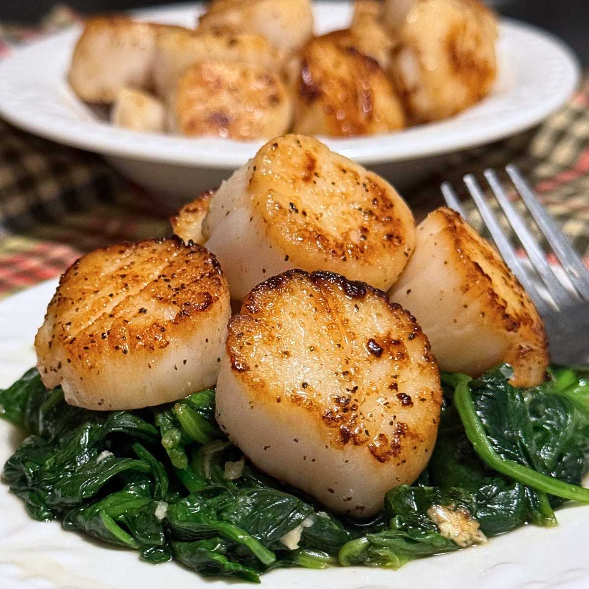 Four seared scallops on a bed of wilted spinach with more sea scallops behind it.