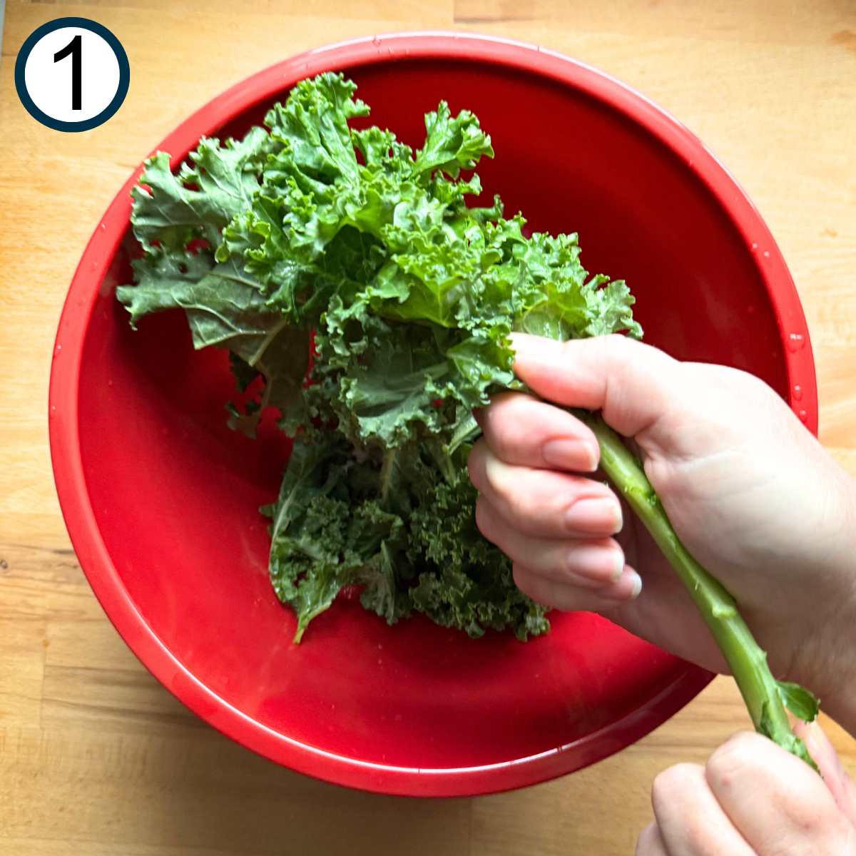 Hand removing kale leaves from the stalk.