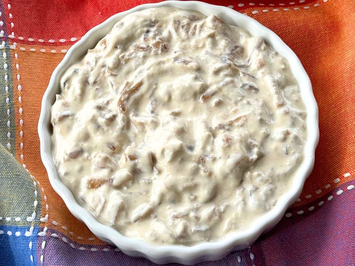Caramelized onion Greek yogurt dip in a bowl on a colorful napkin.