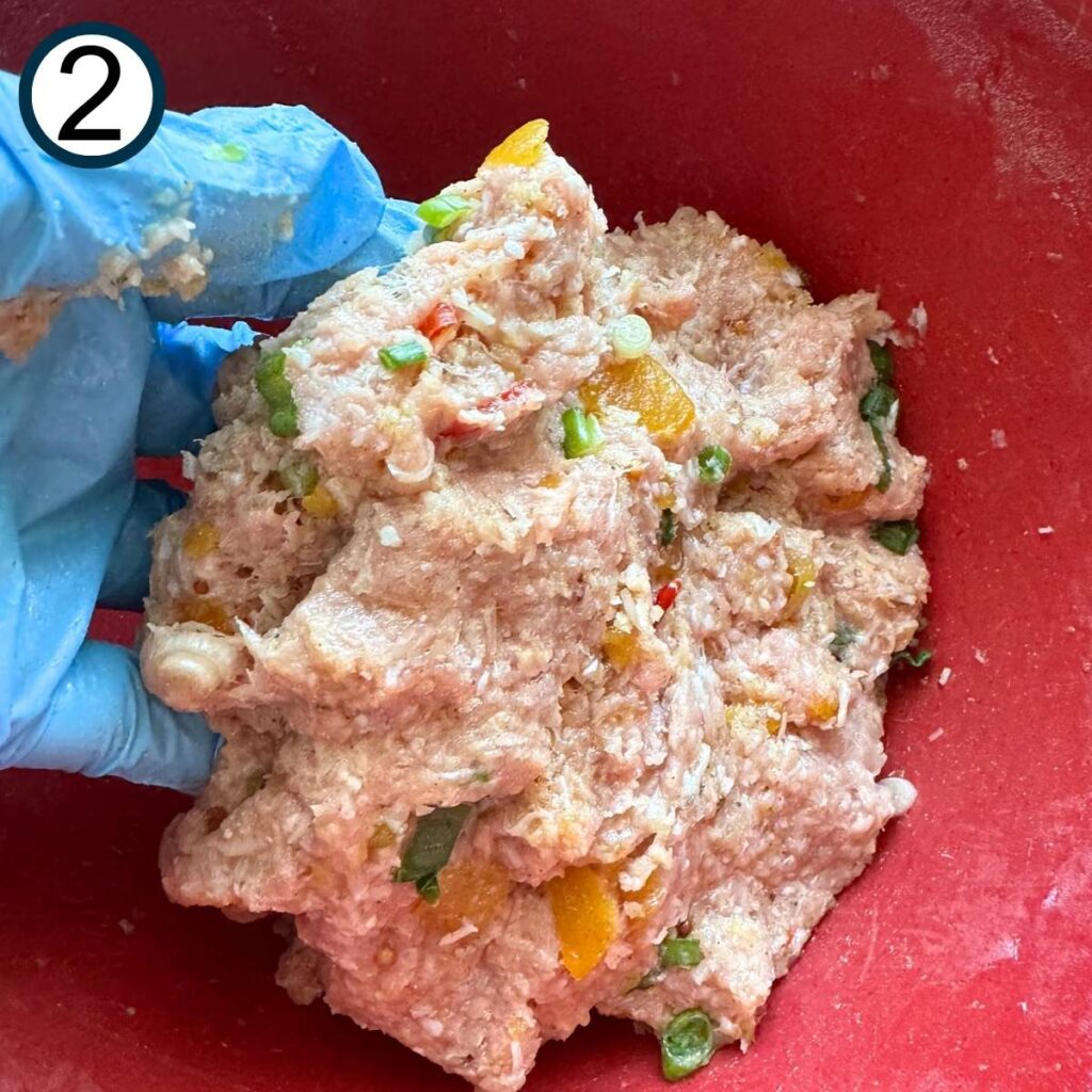 Blue-gloved hand holding combined combined mango chutney turkey burger mixture.