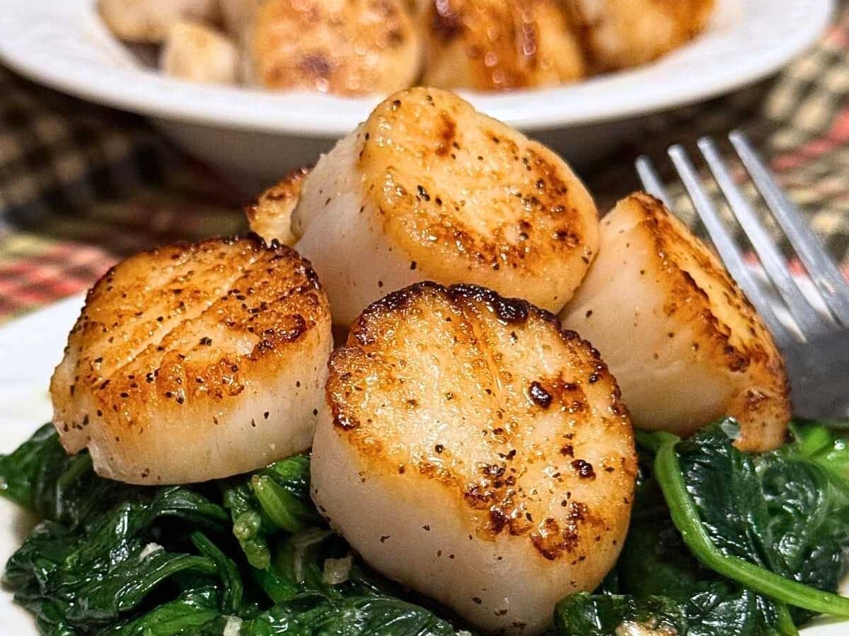 Four pan-seared scallops on a bed of wilted spinach.