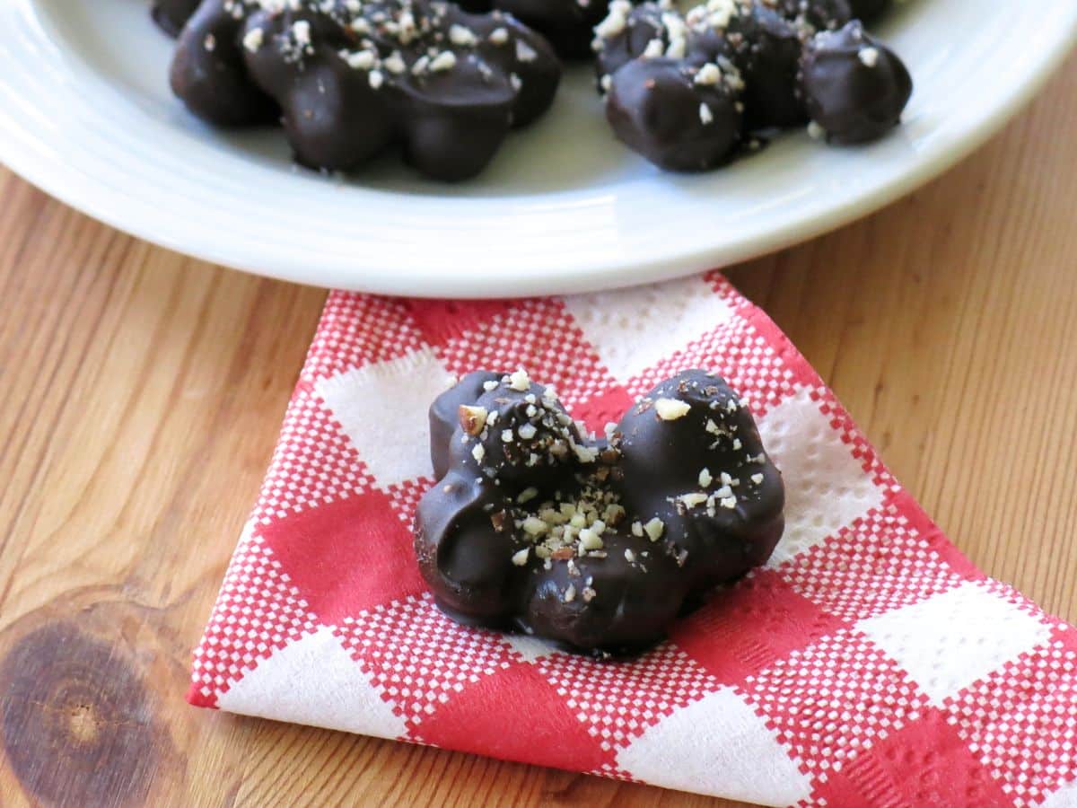 Dark chocolate blueberry cluster on a red checked napkin.