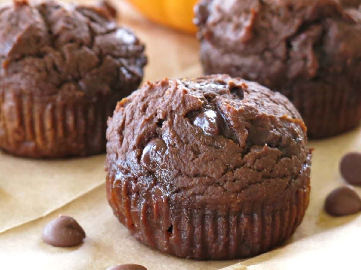 Healthy chocolate pumpkin muffin made with Greek yogurt surrounded by other muffins and chocolate chips.