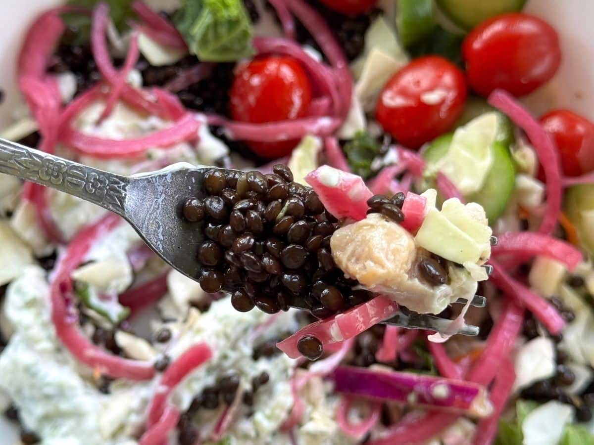 Close-up of fork lifting black lentils, chicken, and red onions from the Mediterranean bowl.