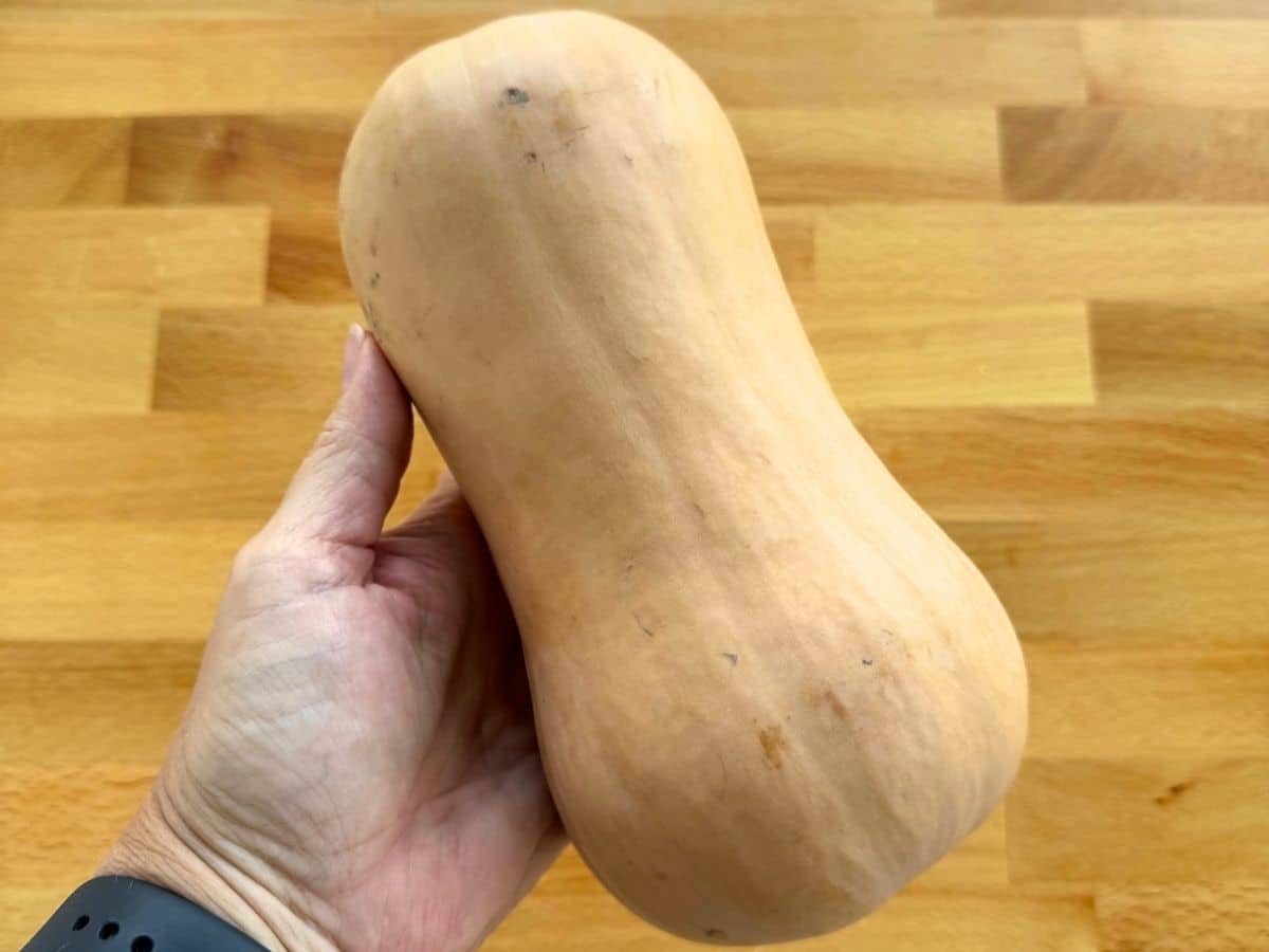 Hand holding an uncooked whole butternut squash,