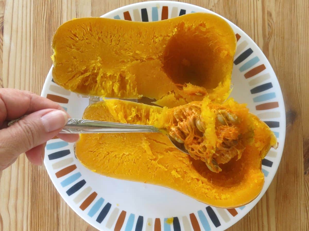 Removing seeds from cooked butternut squash with a spoon.