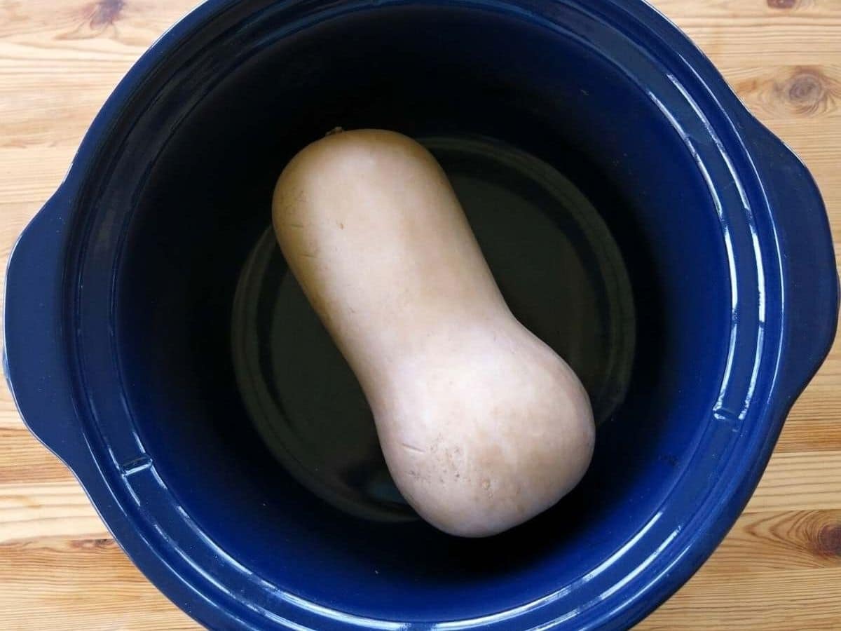 Whole butternut squash in the bottom of a slow cooker.